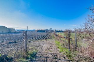 Finca rústica  Carretera polígono 9 paraje 61 marachat, 47, 18001, granada. Excelente finca de regadío en la vega de granada, con acceso dir