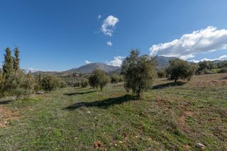 Finca rústica en Cogollos de la Vega. Terreno rústico en cogollos vega, con toma de luz y agua en la e