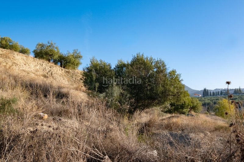 Foto 88cdcf41-954e-477a-a424-b34cbb710c9f. Area edificabile industriale in Alfacar