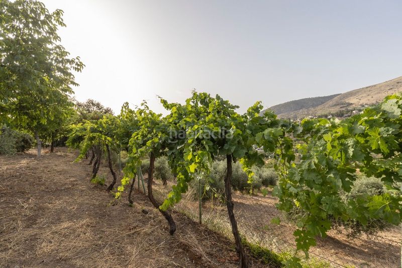 Foto 29aa6946-6557-4534-b028-45bc2adcc97a. Casa amb aparcament piscina a Víznar