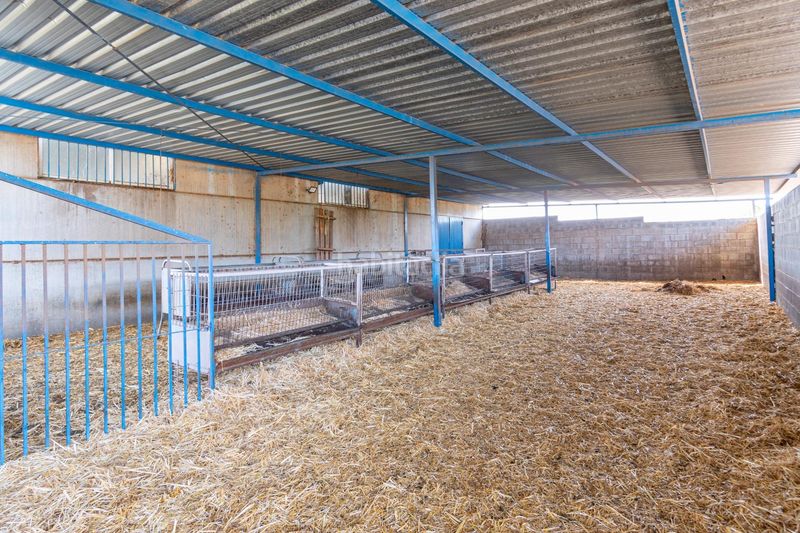 Foto 4ce57234-d28a-4282-b9ab-defd5fd2c665. Finca rústica a Padul