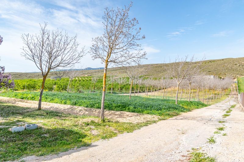 Foto 4ebba736-94a5-4262-8149-353c12107d6c. Finca rústica a Padul
