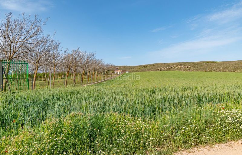 Foto 727ce8d6-2bfe-4211-bbb2-c20ae321184d. Finca rústica a Padul