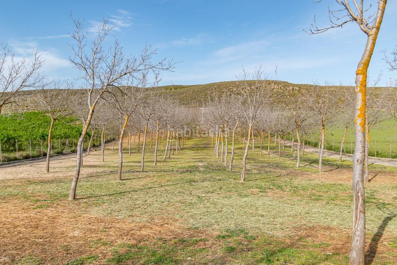 Foto a8bda53f-efd3-4da0-b775-ee60695175a5. Finca rústica a Padul