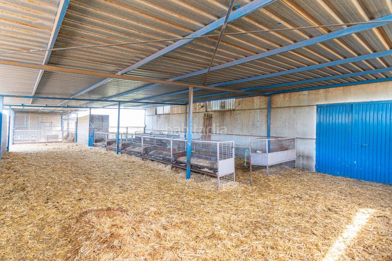 Foto d1d2fbd8-8e09-45e4-8c29-958a6209baef. Finca rústica a Padul