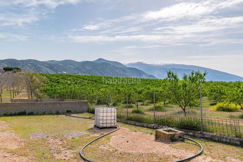 Foto f114c9b4-123a-4917-bb60-6d9ed55a69cb. Finca rústica a Padul