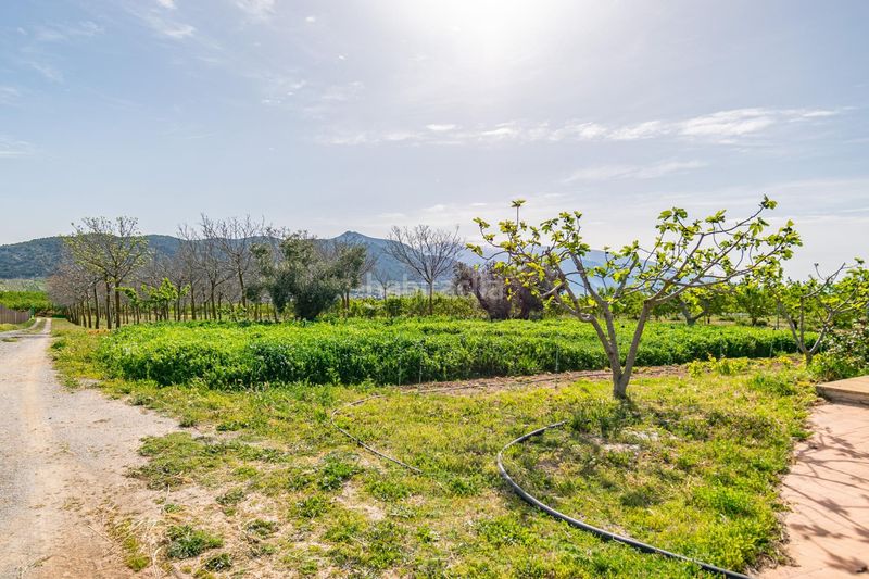 Foto f42ce5b0-a0f5-4e0b-9197-dc444bb32853. Finca rústica a Padul
