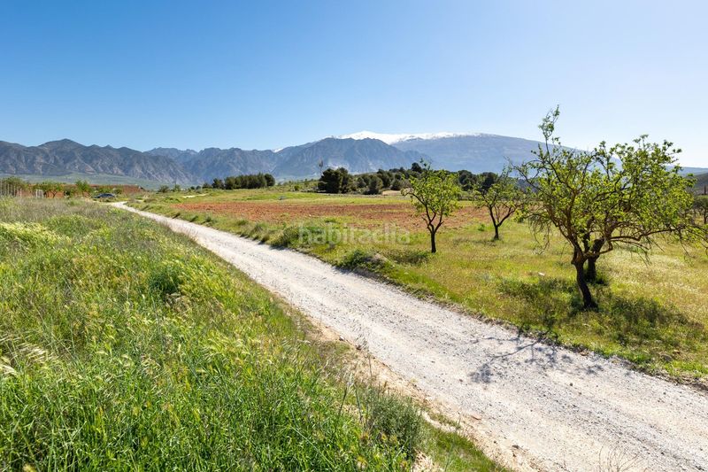 Foto 664126b1-ec23-418a-bb27-add3c6ab8f5b. Finca rústica a Villamena