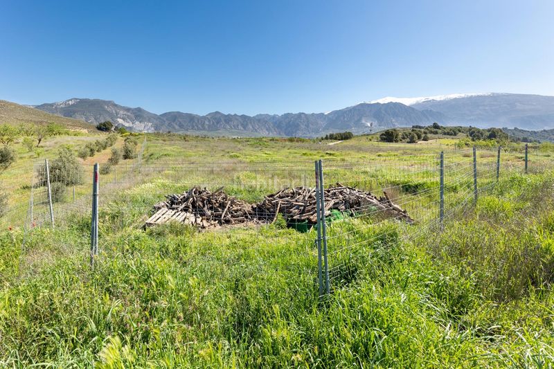 Foto a8b6e69d-6e15-4dc5-b407-69529fdb50a8. Finca rústica a Villamena