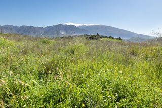 Finca rústica a Villamena. Terreno vallado en conchar a precio de ocasión!