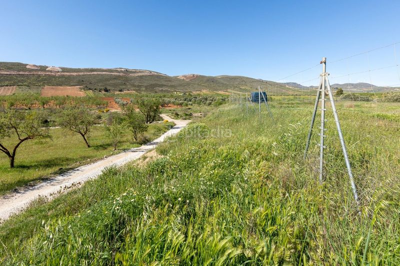 Foto eefde361-2d62-4df6-90f7-b25612724093. Finca rústica a Villamena