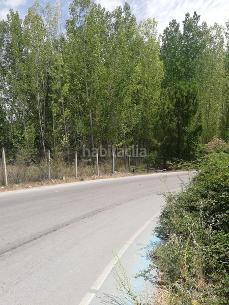 Foto 3ba8f303-896d-413c-8f4c-c618d8c43ed6. Finca rústica a Atarfe