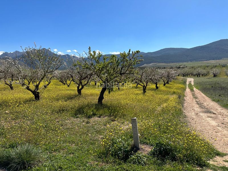 Foto 0438f8c5-2f5e-4218-85fa-dbea759190c3. Finca rústica a Dílar