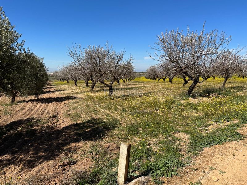 Foto 4295859c-91ef-4f29-a621-e5ad09a17ec1. Finca rústica a Dílar
