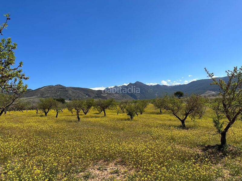 Foto 4faa02b3-c7e2-47ce-8fe4-0ce83ce91183. Finca rústica a Dílar