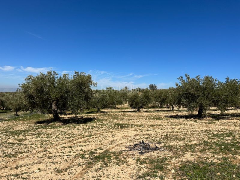 Foto 5633d00c-522d-41c8-a538-ca67e5c3b9bc. Finca rústica a Dílar