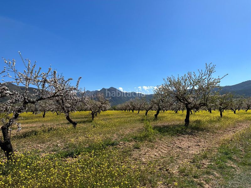 Foto 61b12c87-14b0-4c52-b384-8b7d01fcf1ce. Finca rústica a Dílar