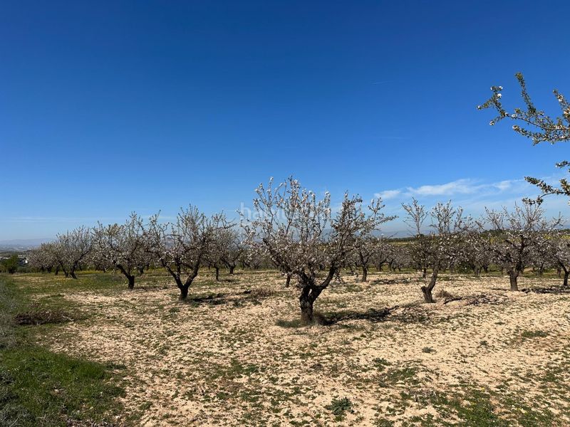 Foto 6c683c2a-d4e3-48d0-b4d6-059d15b9e7f7. Finca rústica a Dílar