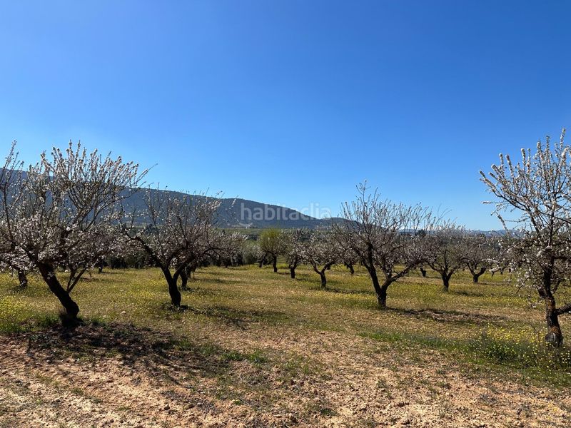 Foto a0f3f1ab-d68f-4ac8-b4de-c155e1bdbde5. Finca rústica a Dílar
