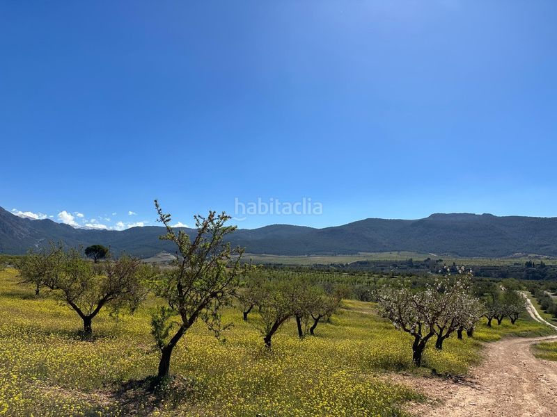 Foto e09e0ae7-5824-4b6e-ae0b-aee655b238ff. Finca rústica a Dílar