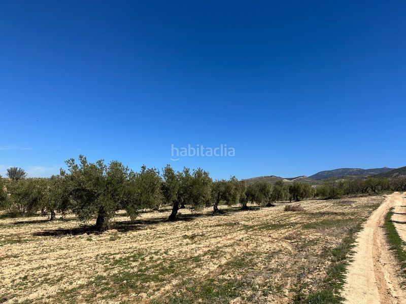 Foto ee905de3-99a6-406f-8755-87440967e0a7. Finca rústica a Dílar
