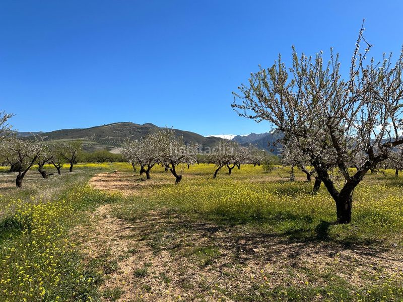 Foto 0f59030b-7b0e-4db1-b226-4f60af55a284. Finca rústica a Dílar