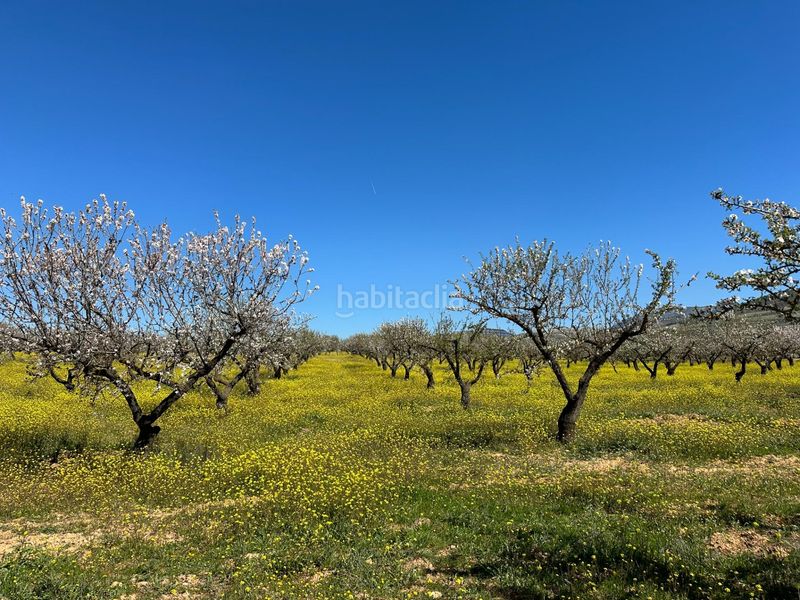 Foto 865776fb-f303-4ac3-b1bf-4de67d78ea1c. Finca rústica a Dílar