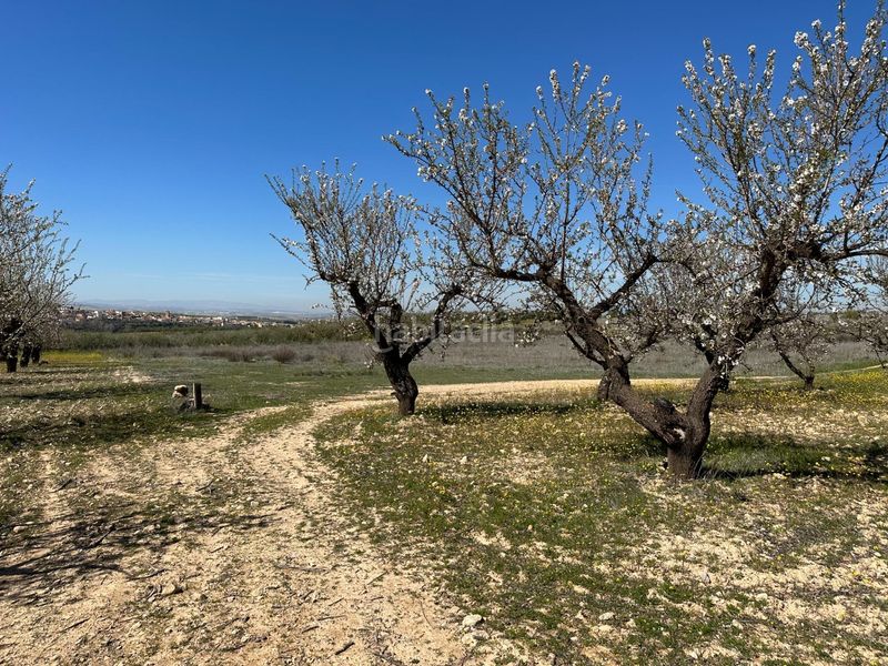 Foto 968041e2-71a9-48dd-a373-ceec8e5d3444. Finca rústica a Dílar