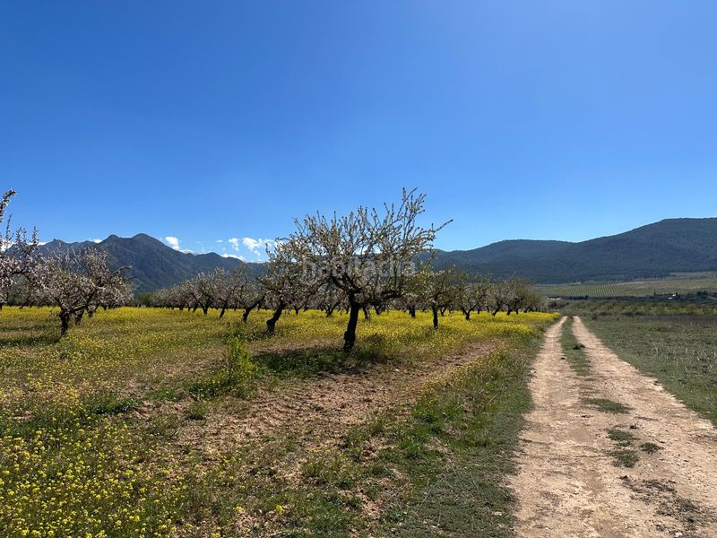 Foto a3e565ab-14c1-40b0-9153-7aabf0ba3f84. Finca rústica a Dílar