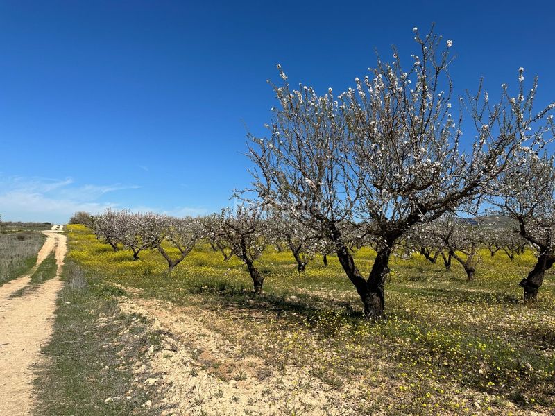Foto b15b2e31-3442-42a9-b6e4-1bdb53c670df. Finca rústica a Dílar