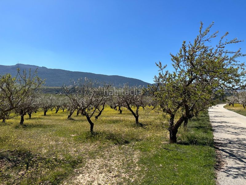 Foto bac13800-a01a-462a-819a-6ea7be1a14e1. Finca rústica a Dílar