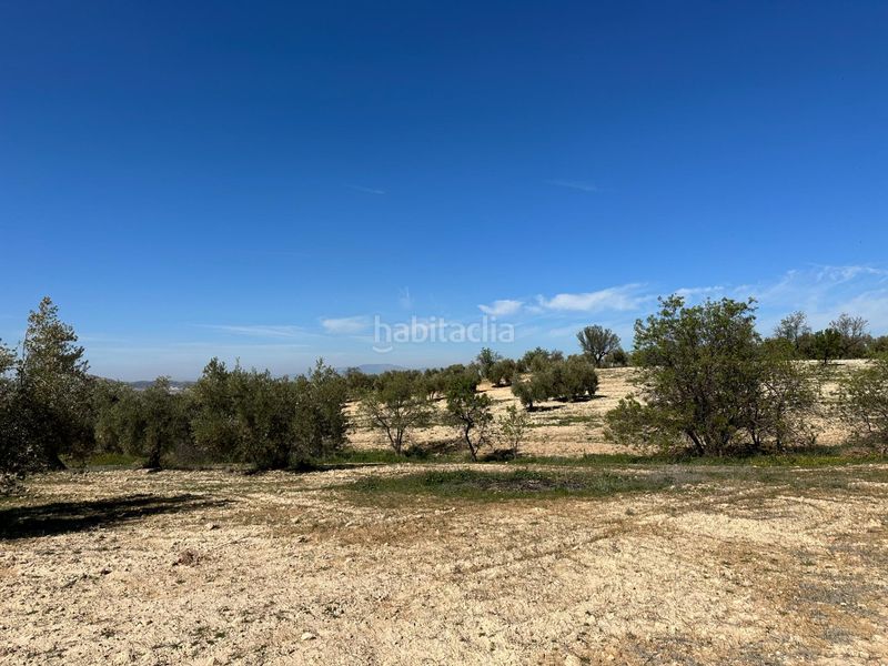 Foto c0c3cbaa-fe3d-4a50-a9ce-0b60d75553f7. Finca rústica a Dílar
