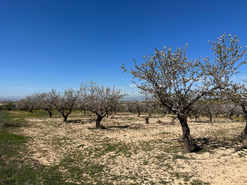 Foto c92ea508-8cff-4908-93d1-1bbded227dab. Finca rústica a Dílar