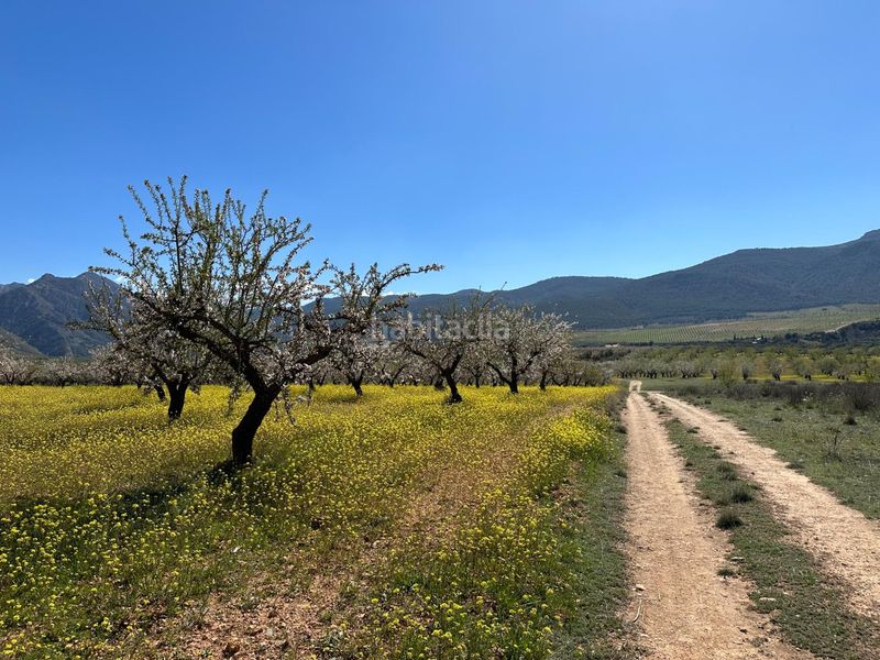 Foto dfced3ac-bcfe-4d39-93d8-466fc7d3e60e. Finca rústica a Dílar