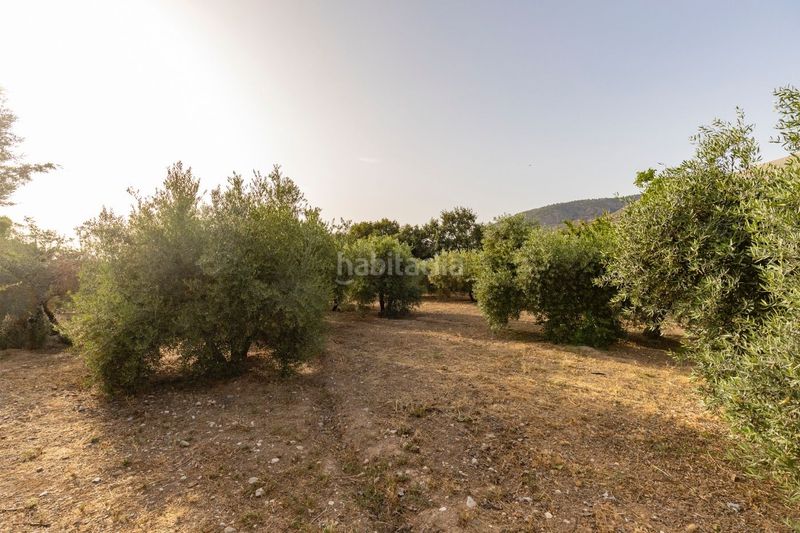 Foto 0e6f4bb1-e7df-4d26-abeb-f7ef28ab0eb8. Casa amb calefacció aparcament piscina a Víznar