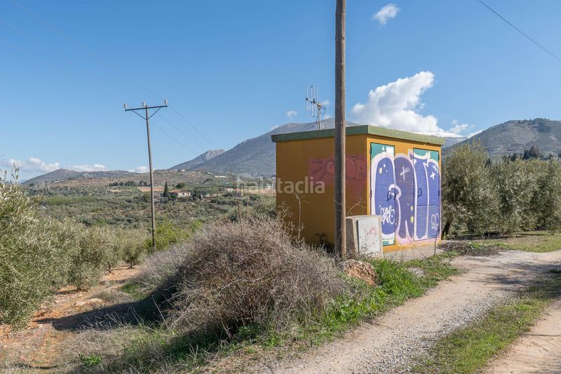 Foto 4b116a1d-f854-410d-9138-44ca8b660e78. Finca rústica a Cogollos de la Vega