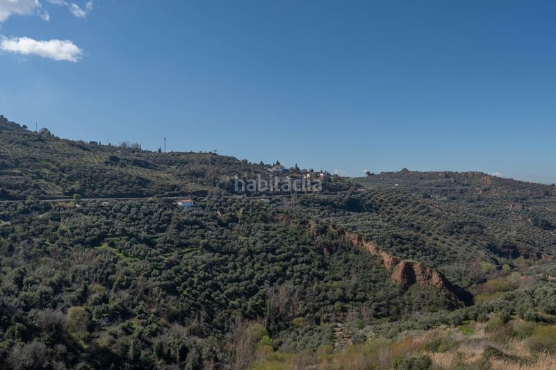 Foto ada005f6-afb7-4284-8624-1b91c31faf82. Finca rústica a Cogollos de la Vega