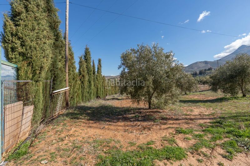 Foto c099db85-d299-460e-8ea3-cf45ef4f3858. Finca rústica a Cogollos de la Vega