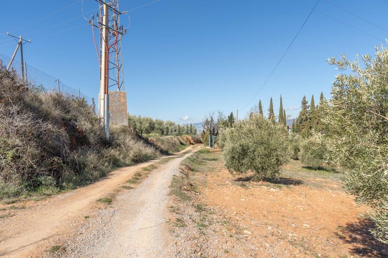 Foto da326a71-8ea1-410e-b4c6-cc88f7ec2c1d. Finca rústica a Cogollos de la Vega