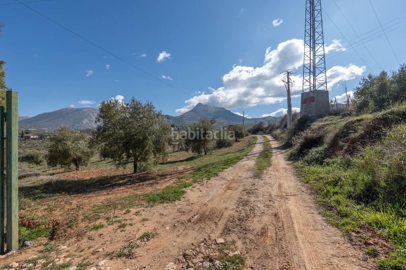 Foto e0fc5f08-9920-4df6-bafd-1aca5adda99c. Finca rústica a Cogollos de la Vega