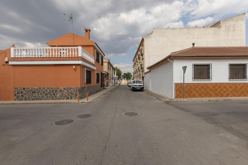 Foto e7d40ed3-0a0d-437d-aa15-f5288b63be7e. Pis a Láchar