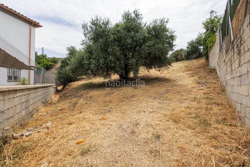 Foto 715e8745-f616-4a1f-a760-293ac31ce160. Terreno residencial gran finca urbana en nivar! en Nívar