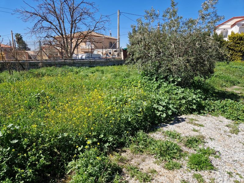 Foto 047ead14-6649-49e5-a5ca-36e925ccd636. Terreno residencial terreno urbanizable en ogijares en Ogíjares