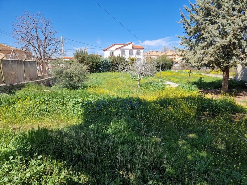Foto d54bc71c-eb51-4b65-bdf5-f09a7300d435. Terreno residencial terreno urbanizable en ogijares en Ogíjares