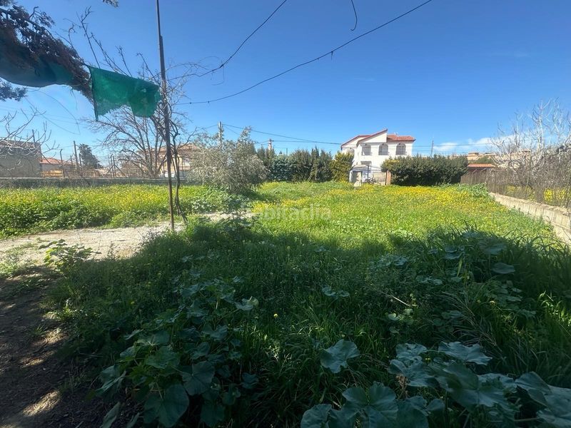 Foto e346fe9b-8999-478a-bf3a-fa77abd4b21f. Terreno residencial terreno urbanizable en ogijares en Ogíjares