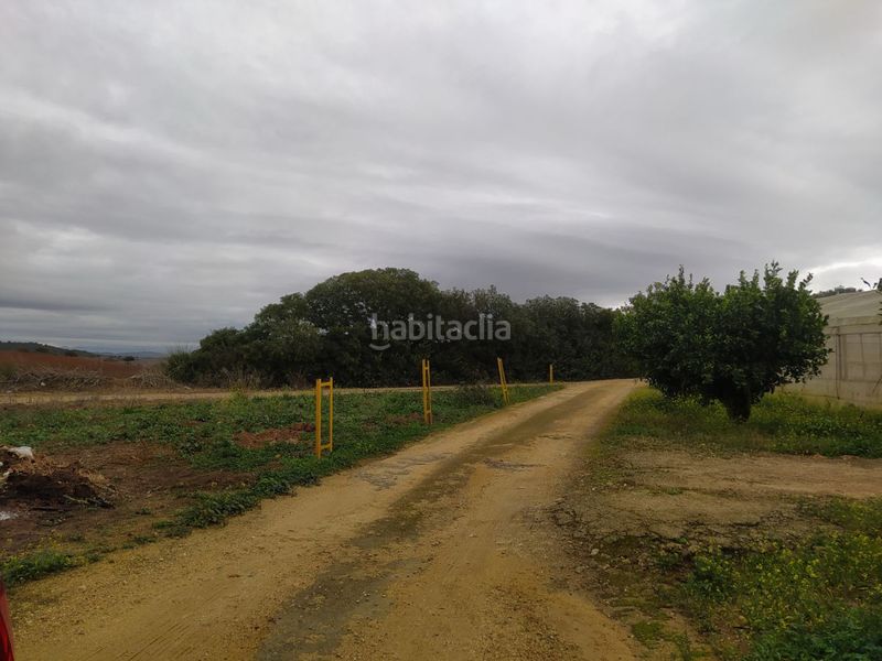 Foto 1668b3a2-baea-4196-a49f-27d95b6c702b. Masia a Pelagatos - Pago del Humo Chiclana de la Frontera