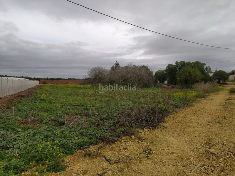 Foto 4505d1c2-b114-4318-b296-d4703cf53649. Masia a Pelagatos - Pago del Humo Chiclana de la Frontera