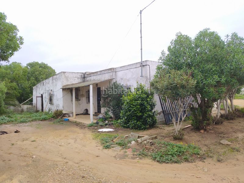 Foto ac2ef410-f9c1-4d67-b426-e0ef80c39ee8. Masia a Pelagatos - Pago del Humo Chiclana de la Frontera