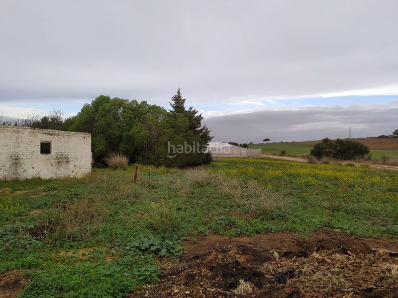 Foto dba96ac6-0170-49b7-8978-862069efa961. Masia a Pelagatos - Pago del Humo Chiclana de la Frontera