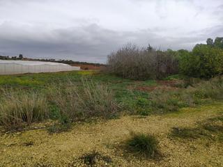 Mas à Pelagatos - Pago del Humo. Finca rúst. en venta en chiclana de la frontera.